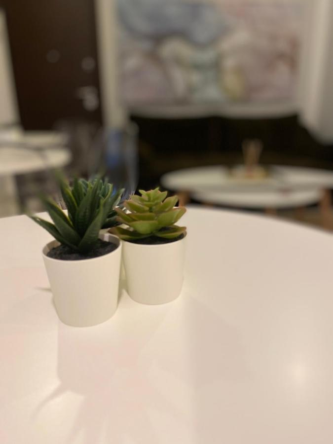 Solomou Inn Boutique Rooms 雅典 外观 照片